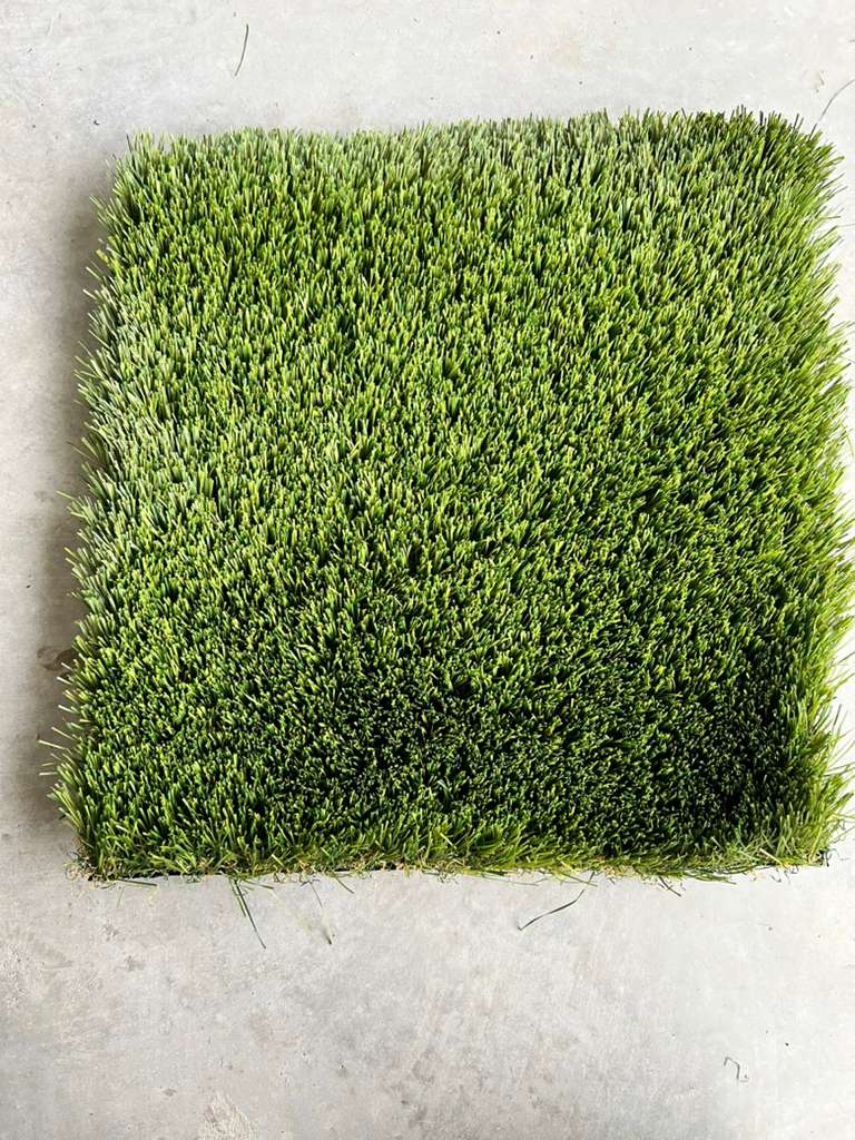 Coastal Blend Elite turf top view
