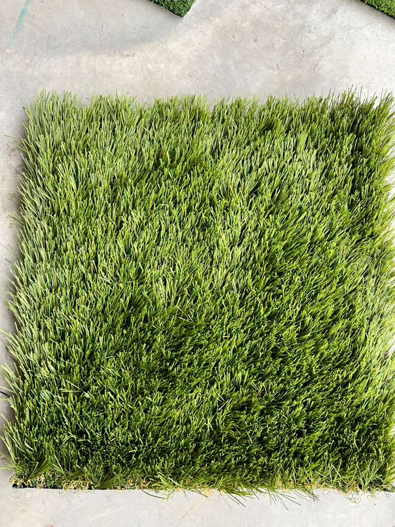 Coastal Blend Pro turf top view