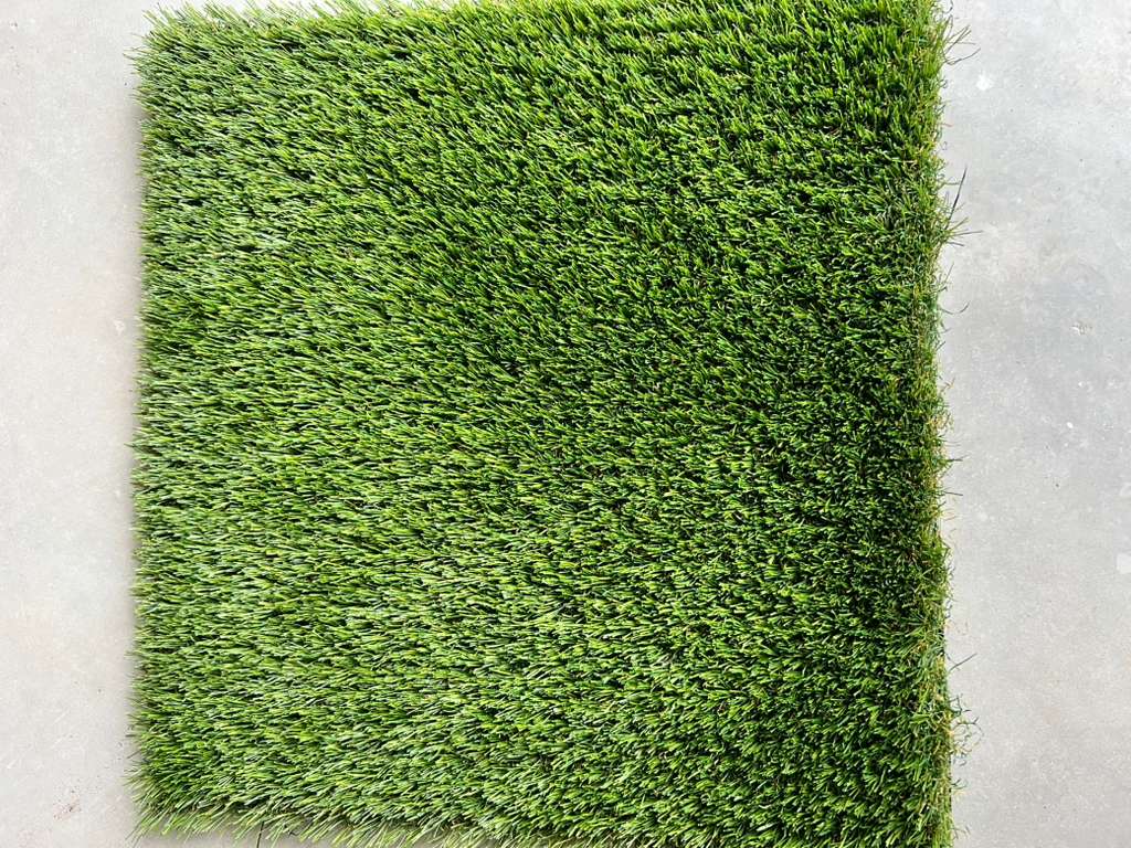 Magnolia Supreme 75 turf top view